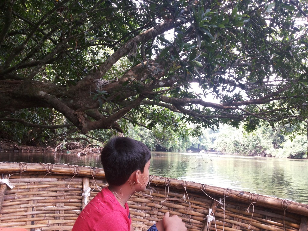 Konni – Adavi Kutta Vanchi / kotta vanchi (Coracle Boat ) journey