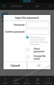 choose password for encryption